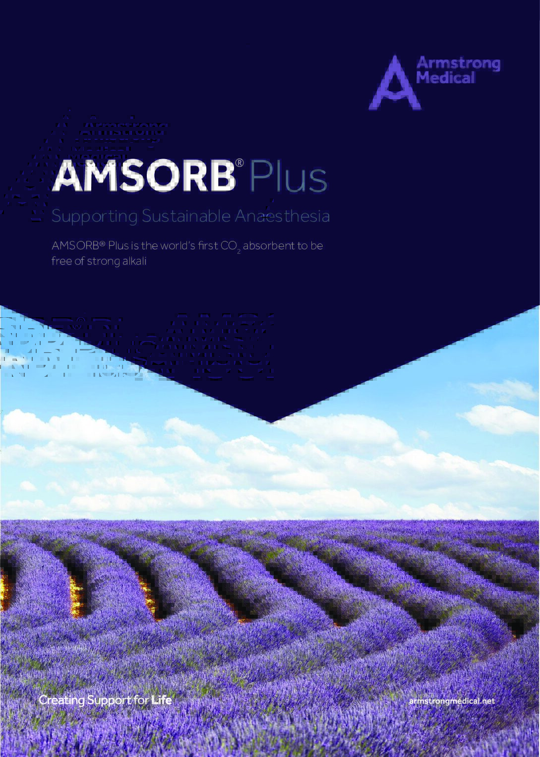 AMSORB Plus Sustainable Anaesthesia Brochure v1 1 pdf Eakin Healthcare