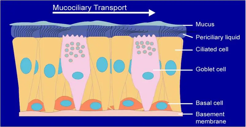 RetentionGraph Eakin Healthcare